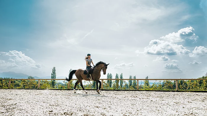 Reitsport auf Gut Ising