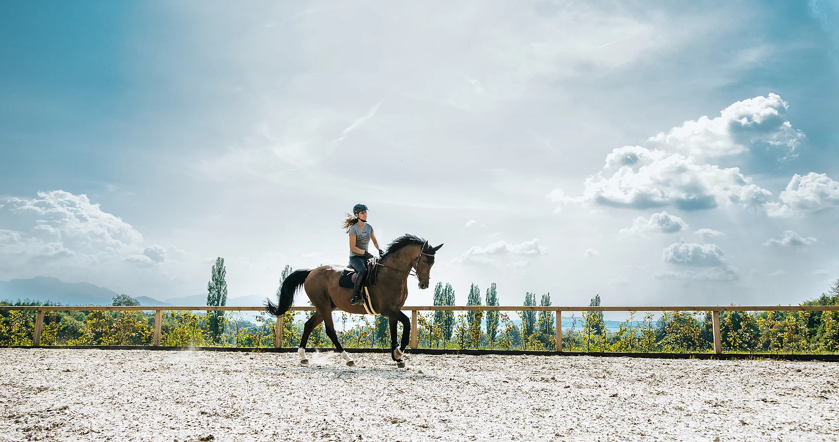 Reitsport auf Gut Ising