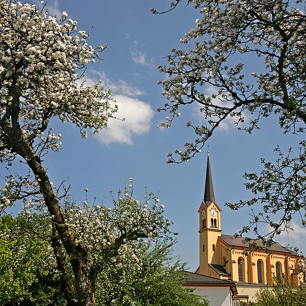 Blick auf die Kirche Mariä Himmelfahrt in Chieming