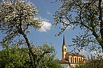 Blick auf die Kirche Mariä Himmelfahrt in Chieming