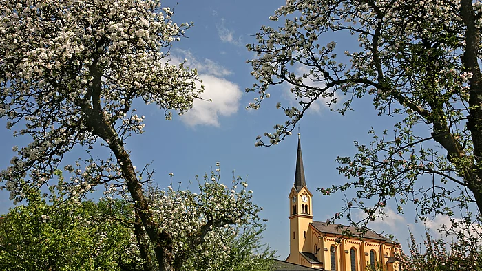 Kirche in Chieming Blick auf die Kirche Mariä Himmelfahrt in Chieming