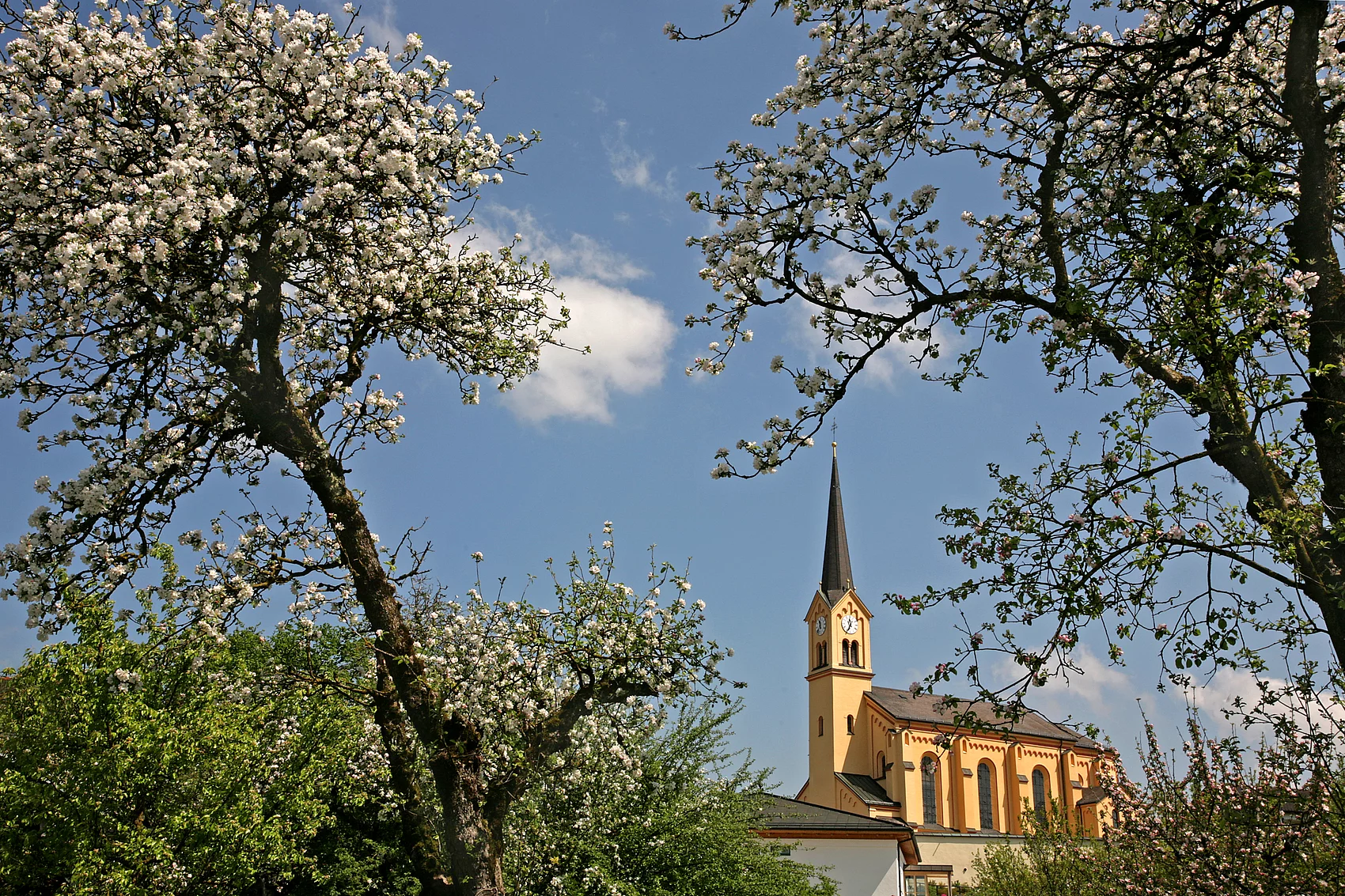 Kirche in Chieming Blick auf die Kirche Mariä Himmelfahrt in Chieming