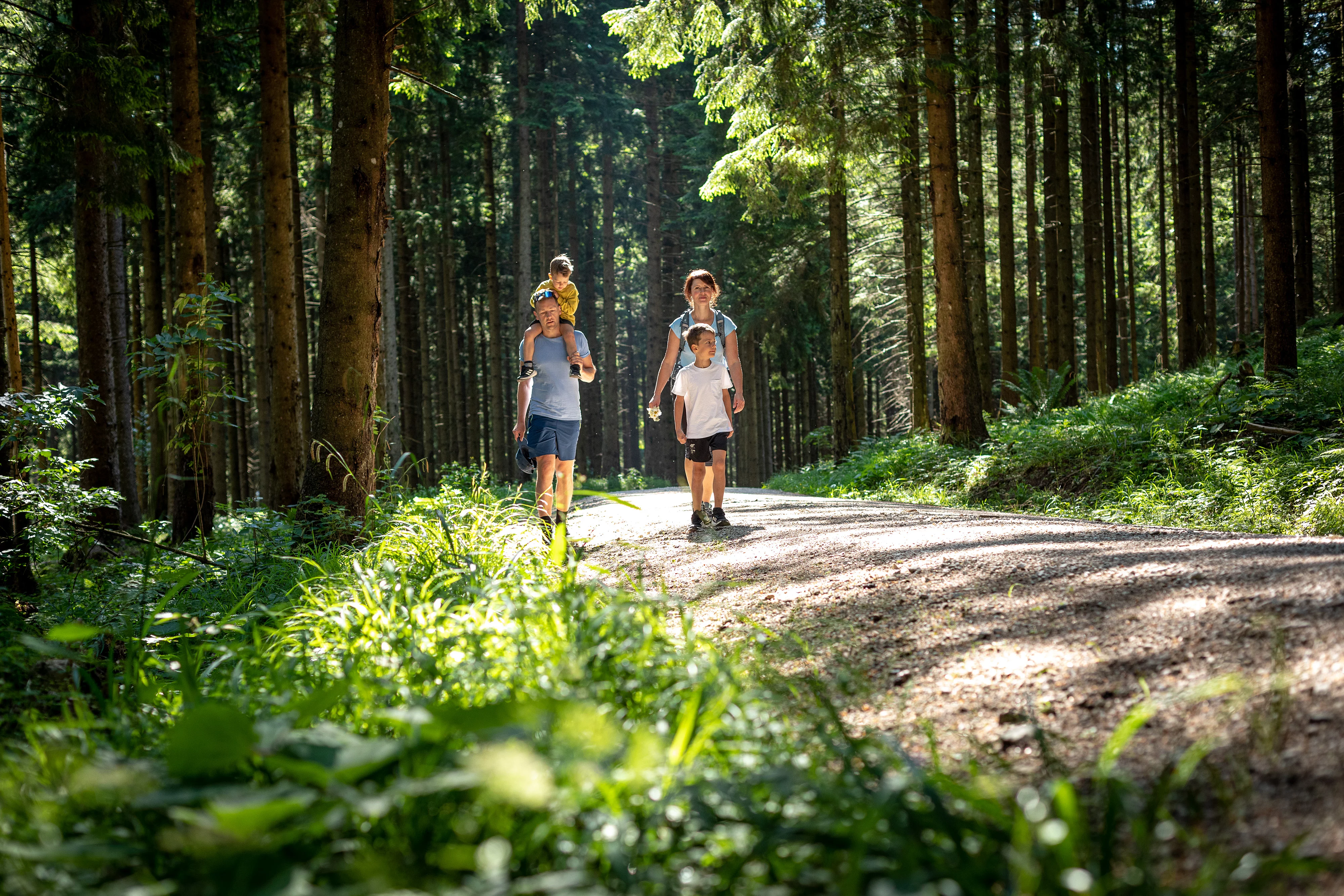 Familie mit zwei kleinen Kindern wandert durch einen Wald
